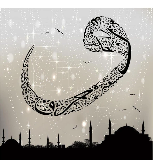 Vav ile İstanbul Kanvas Tablo - Resim 2