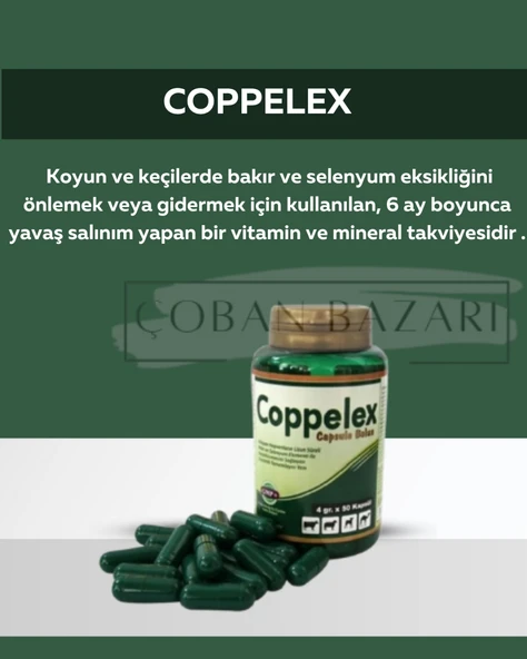 Coppolex Capsule Bolus 50 Kapsül Bakır Ve Selenyum Bolusu ürün görseli 1