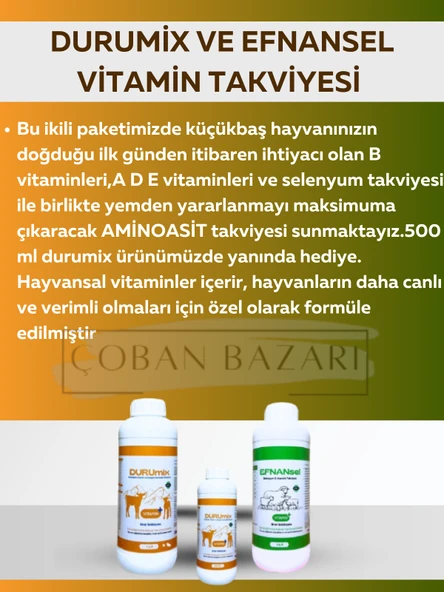 Durumix 1 LİTRE VİTAMİN TAKVİYESİ EFNANsel 1 LİTRE VİTAMİN TAKVİYESİ (500 ML DURUMİX HEDİYE) ürün görseli 1