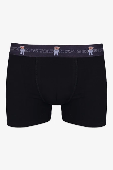 Erkek Tekli Pamuklu Boxer ürün görseli 1