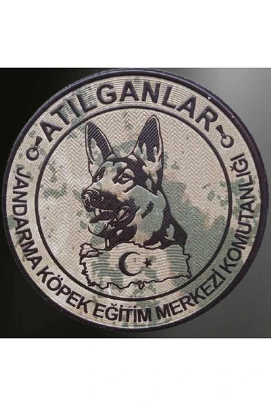 Jandarma ATILGAN Kamuflaj 3d Arması,2025 Yeni Tip Cırtlı,Standart Ölçü,1.sınıf Plastik Ultra Kalite ürün görseli 1