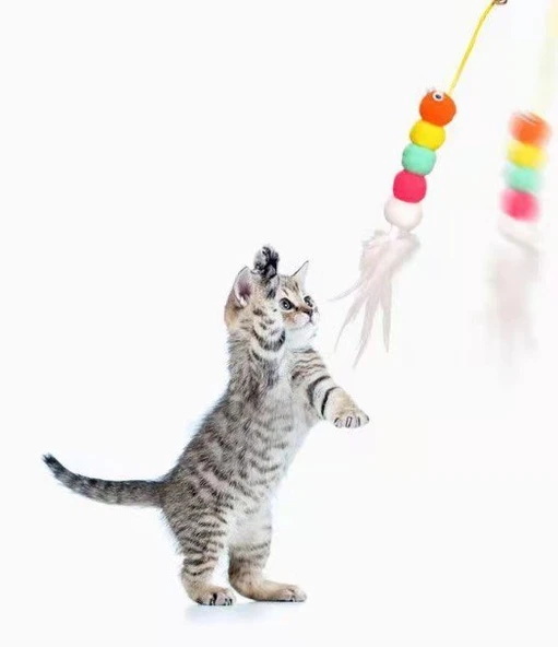 Elastik Yapışkanlı Kedi Oyun Oltası - Resim 4