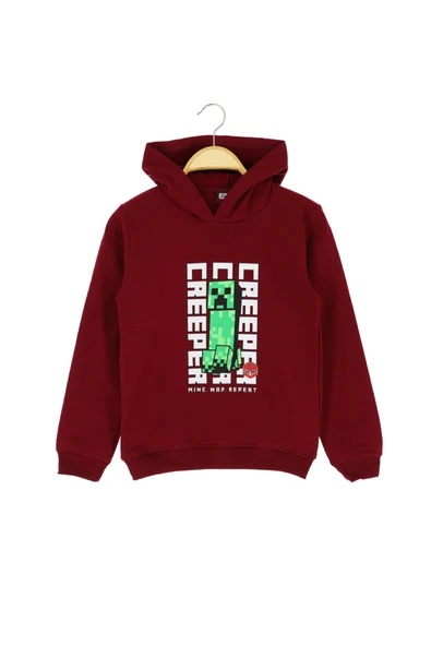 Erkek Çocuk Sweat Baskılı Şardonlu - Resim 4