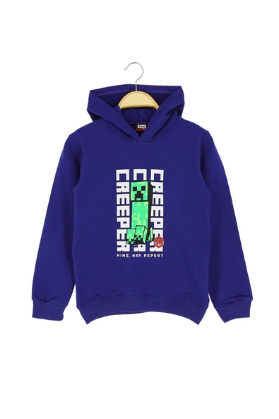 Erkek Çocuk Sweat Baskılı Şardonlu - Resim 5