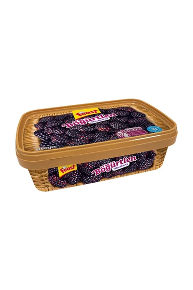 Feast Böğürtlen 350 gr ürün görseli 1