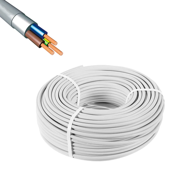 PowerMaster 3X2.5 CCA TTR Kablo (100 Metre) ürün görseli 1