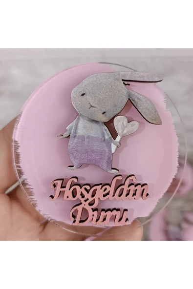 Doğrukan Hediyelik 10 adet pembe tulumlu tavşan figirlü yenidoğan doğum günü hediyelik magnet ürün görseli 1