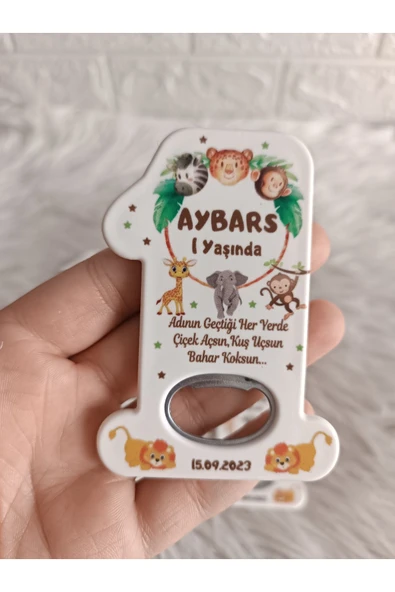 Doğrukan Hediyelik 10 adet rengarenk safari konsept 1 rakam açacak magnet hediyelik yenidoğan doğum günü hediyesi ürün görseli 1