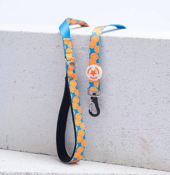 Pawstar Citrus Köpek Gezdirme Kayışı 120 cm x 2 cm ürün görseli 1