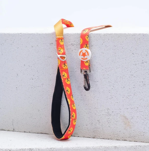 Pawstar Poodle Köpek Gezdirme Kayışı 120 cm x 2 cm ürün görseli 1