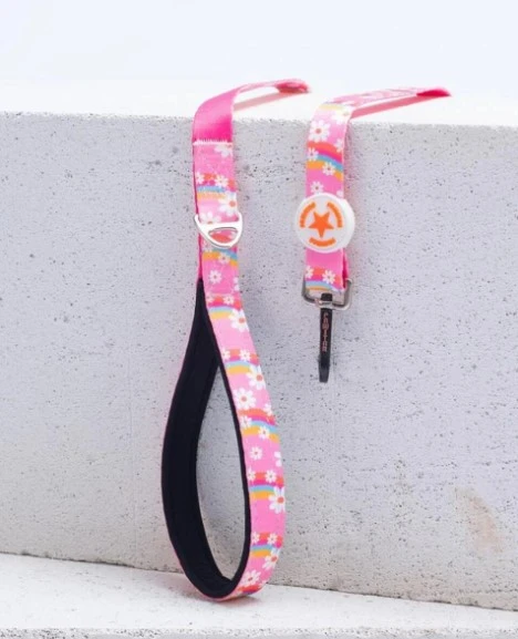 Pawstar Daisy Köpek Gezdirme Kayışı 120 cm x 2 cm ürün görseli 1