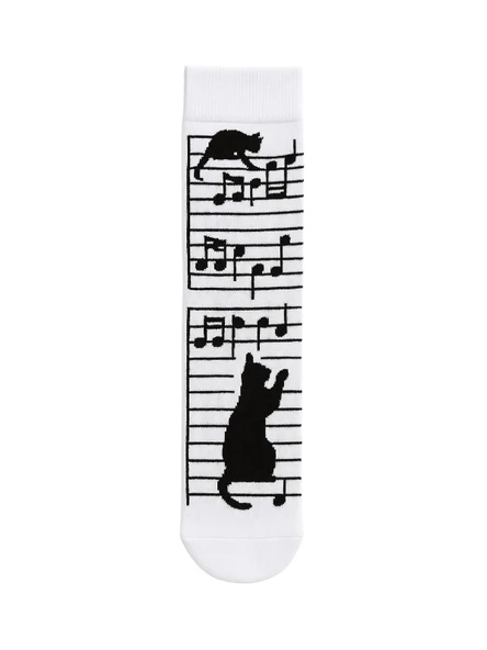 Kedi Desenli 4’lü Renkli Çorap Seti - Resim 5