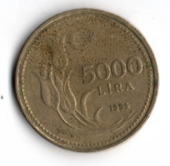 T.C. 5000 Lira 1994 (mp2039) - Resim 2