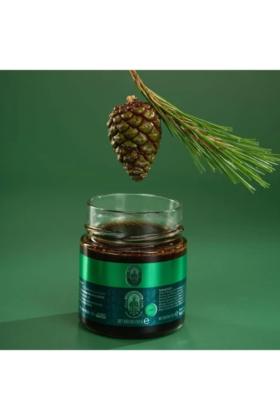 aleyna baharat Ormancı Macunu 240 Gr - Resim 6