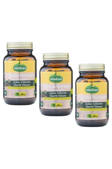 Mindivan Tribulus Terrestris for Men 500 mg 60 Capsules x3 Piece ürün görseli 1