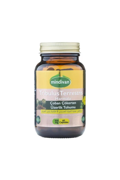 Mindivan Tribulus Terrestris for Men 500 mg 60 Capsules ürün görseli 1
