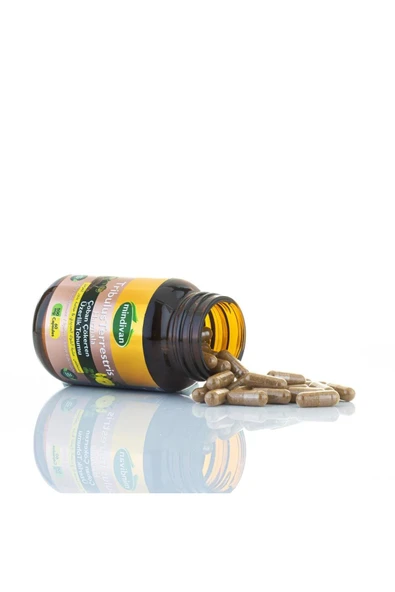 Mindivan Tribulus Terrestris for Men 500 mg 60 Capsules - Resim 3