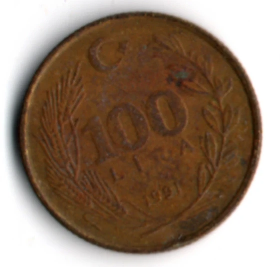 T.C. 100 Lira 1991 (mp2047) ürün görseli 1
