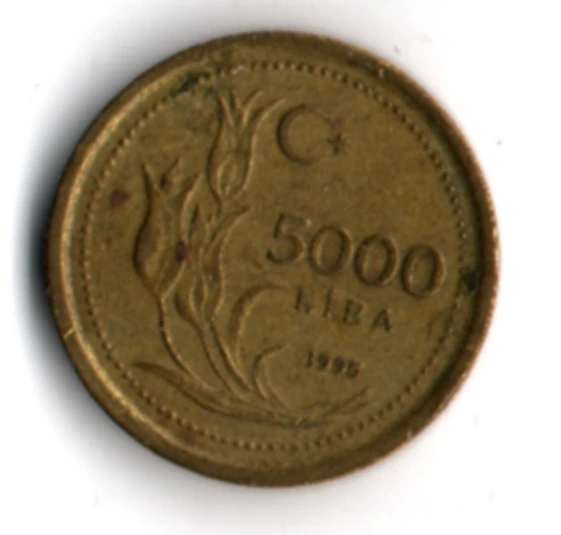 T.C. 5000 Lira 1995 (mp2046) - Resim 2