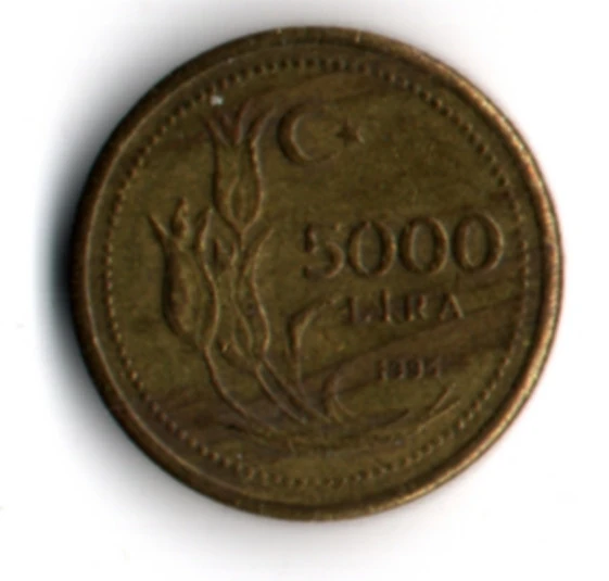 T.C. 5000 Lira 1995 (mp2048) - Resim 2