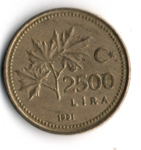 T.C. 2500 Lira 1991 (mp2044) - Resim 2