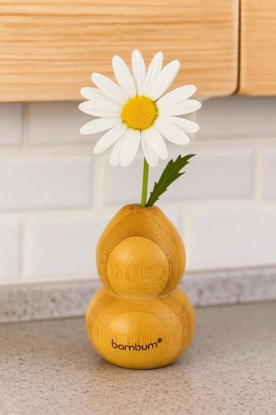 Bambum Dublin - Bambu Vazo 7,2*4,9cm - Resim 2