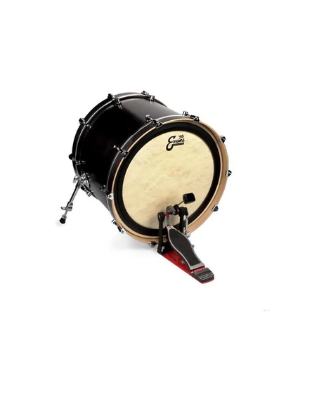 EVANS BD18EMADCT EVANS BD18EMADCT 18" DERİ CALFTONE KİCK SENTETİK SÜNGERLİ TEK KAT ürün görseli 1