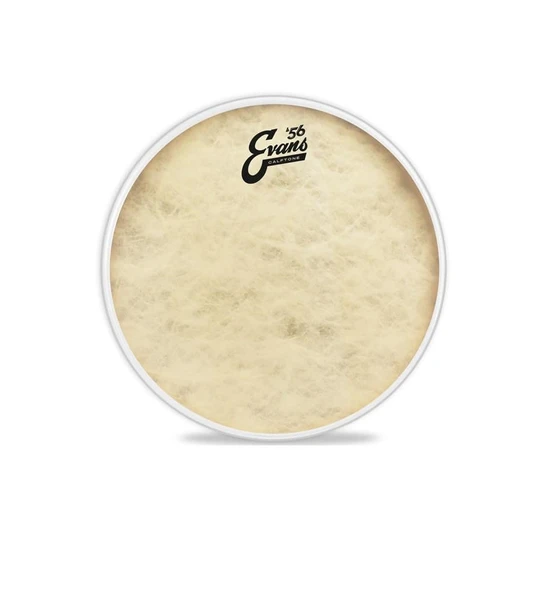 EVANS TT16C7 DERİ 16 CALFTONE TOM SENTETİK TEK KAT (12 MİL) - Resim 3