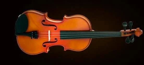 VALENCIA VA400 VİOLA KUTULU 15.5" (39,37cm) ürün görseli 1