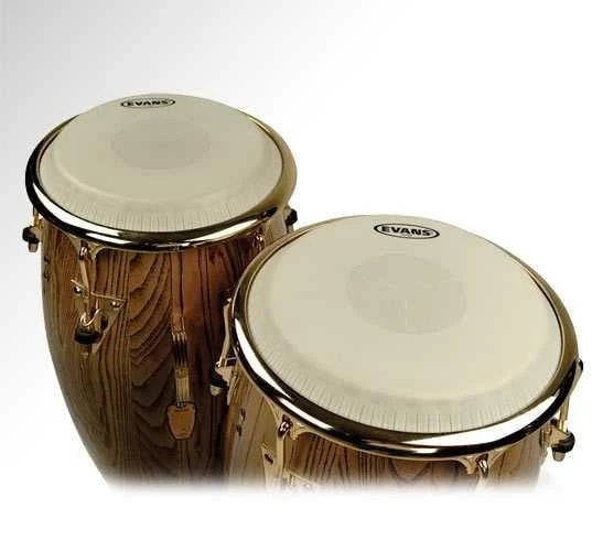 EVANS EC0975 EVANS EC0975 9" DERİ 3/4 TRİ-CENTER KONGA ürün görseli 1