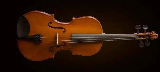VALENCIA VA16040 VİOLA KUTULU 15 5"(40cm) ürün görseli 1