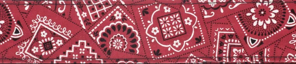 PLANETWAVES 50G02 PLANETWAVES 50G02 GİTAR ASKISI, 50MM, KIRMIZI BANDANA ürün görseli 1