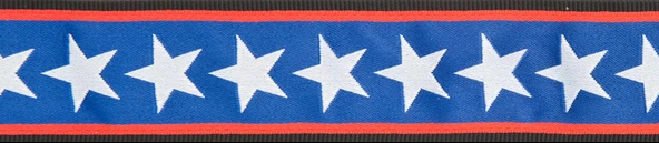 PLANETWAVES 50PLA10 PLANETWAVES 50PLA10 GİTAR ASKISI, 50MM, LOCK-STARS STRIPES ürün görseli 1
