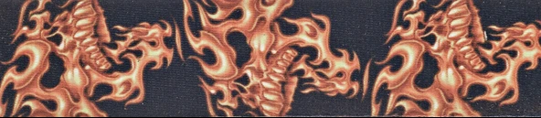 PLANETWAVES 50LT01 PLANETWAVES 50LT01 GİTAR ASKISI, 50MM, DOKUMA FLAMING SKULLS ürün görseli 1