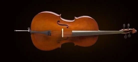 VALENCIA CE160G44 VALENCIA CE160G44 CELLO, GERMAN STYLE, 4/4 ürün görseli 1