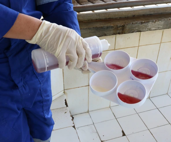 Mastitis Test Diski Beyaz Ekonomik - Resim 2