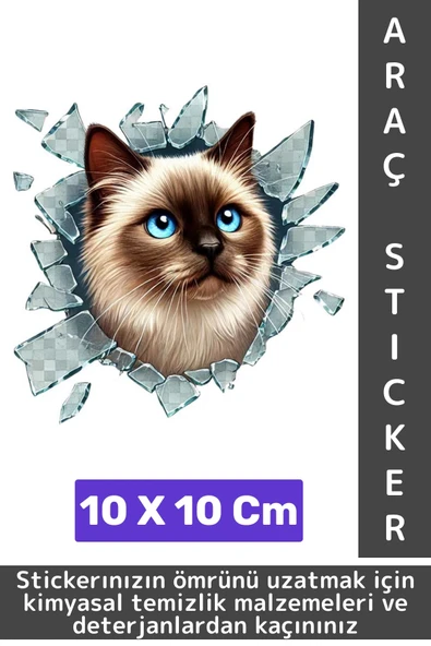 Özel Tasarım Araç Dış Modifiye Eğlenceli Yaratıcı Şık 3D Evcil Hayvan Kedi Köpek Sticker 10 X 10 Cm ürün görseli 1