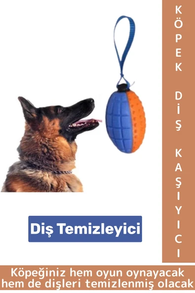 Evcil Hayvan Büyük Küçük Irk Tüm Cinslere Uygun Diş Temizleyici Eğlenceli Köpek Diş Kaşıma Oyun Topu ürün görseli 1