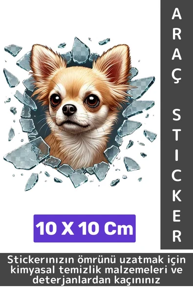 Özel Tasarım Araç Dış Modifiye Eğlenceli Yaratıcı Şık 3D Evcil Hayvan Kedi Köpek Sticker 10 X 10 Cm ürün görseli 1