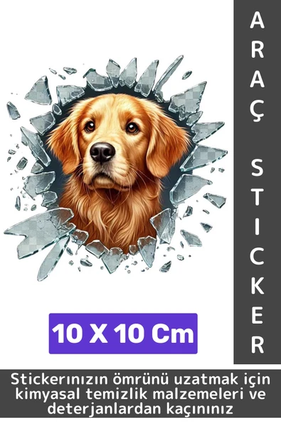 Özel Tasarım Araç Dış Modifiye Eğlenceli Yaratıcı Şık 3D Evcil Hayvan Kedi Köpek Sticker 10 X 10 Cm ürün görseli 1