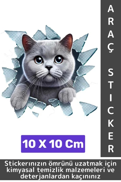 Özel Tasarım Araç Dış Modifiye Eğlenceli Yaratıcı Şık 3D Evcil Hayvan Kedi Köpek Sticker 10 X 10 Cm ürün görseli 1