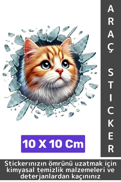 Özel Tasarım Araç Dış Modifiye Eğlenceli Yaratıcı Şık 3D Evcil Hayvan Kedi Köpek Sticker 10 X 10 Cm ürün görseli 1