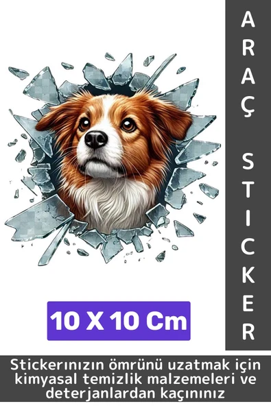 Özel Tasarım Araç Dış Modifiye Eğlenceli Yaratıcı Şık 3D Evcil Hayvan Kedi Köpek Sticker 10 X 10 Cm ürün görseli 1