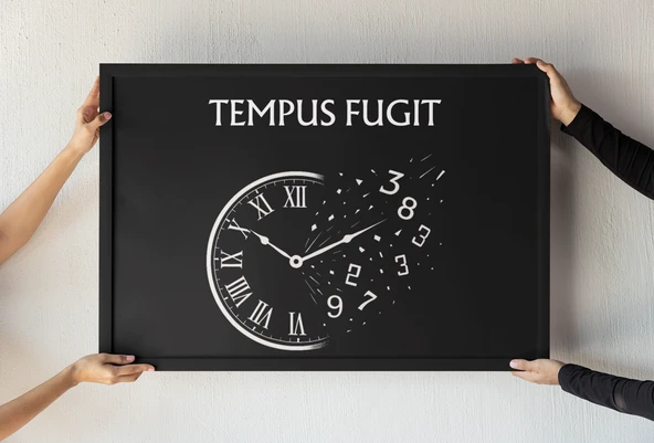 Zaman Uçar Çerçeveli Tablo  Tempus Fugit Latin Alıntılı  Felsefi ve Sanatsal Duvar Dekoru 30x42 cm ürün görseli 1
