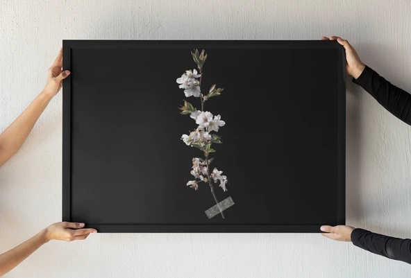 Minimalist Çiçek Dalı Çerçeveli Tablo Siyah Fon Üzerine Beyaz Çiçek Sanatı  Duvar Dekoru  30x42 cm ürün görseli 1