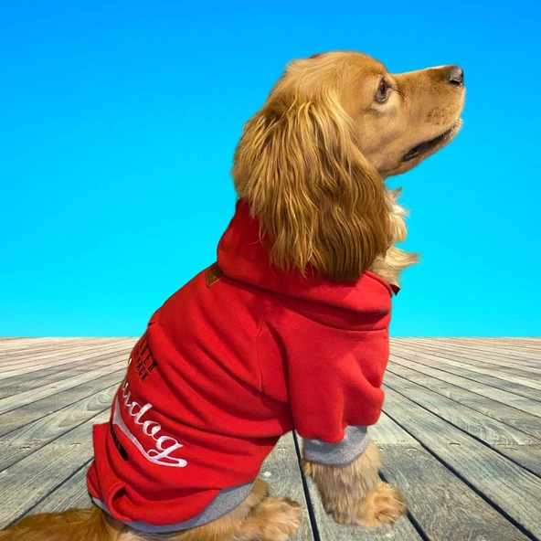 Alphadog Leader Red Orta-Büyük Irk Köpek Sweatshirtü (11 kg-36 kg arası köpeklere uygundur) ürün görseli 1