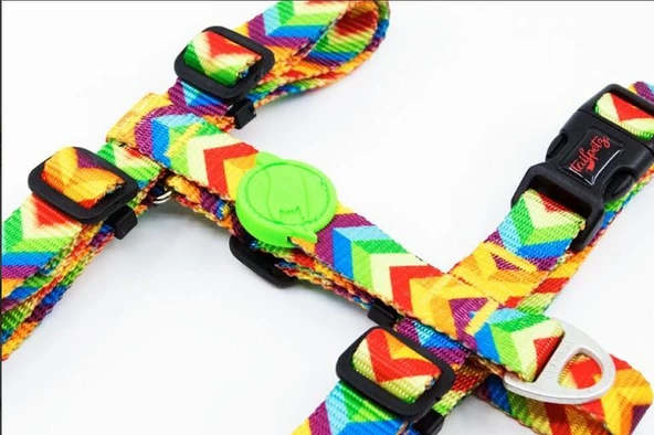 Tailpetz Rainbow Göğüs Tasmasi M - Resim 2