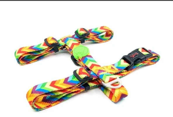 Tailpetz Rainbow Göğüs Tasmasi S ürün görseli 1
