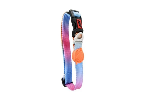 Tailpetz Pass Boyun Tasması XS - Resim 2
