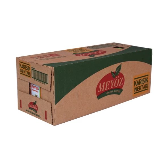 Meyöz Karışık Meyve Nektarı 200ml 27 Adet ürün görseli 1